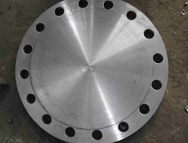 Stainless Steel Flanges