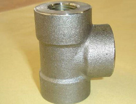 Stainless Steel Forged Fitting